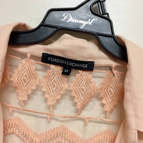 Pink Chiffon Embroidered Blouse - Picture 5 of 6